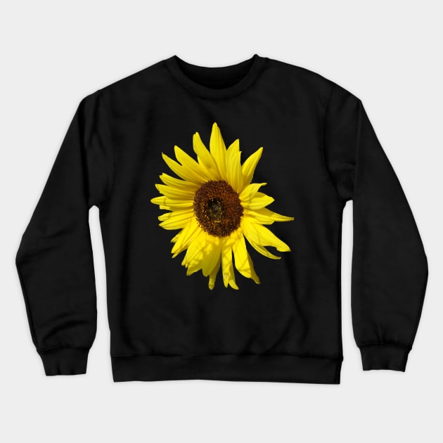 sunflowers, sunflower, blooms, summer, flowers Crewneck Sweatshirt by rh_naturestyles